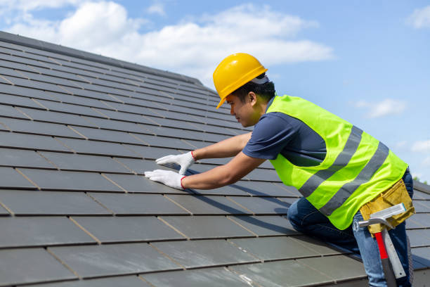 Best Solar Panel Roofing Installation  in Hawaiian Beaches, HI